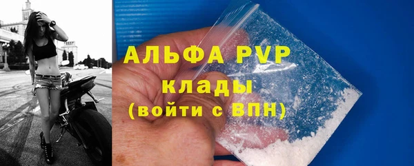 PSILOCYBIN Сатка
