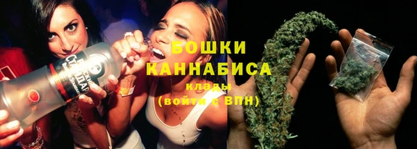 PSILOCYBIN Сатка