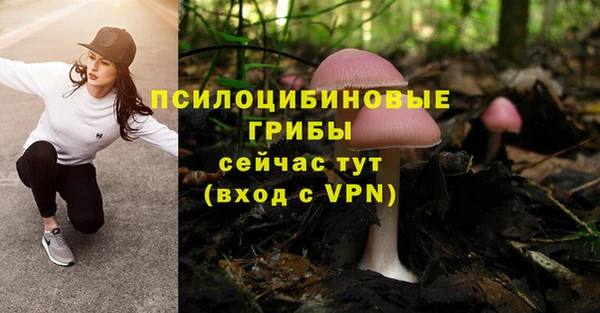 герыч Сафоново