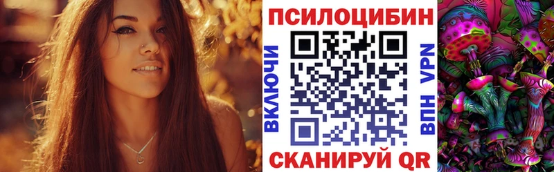 закладка Слюдянка Псилоцибиновые грибы прущие грибы